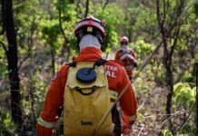 Corpo de Bombeiros extingue 2 incêndios florestais e combate 3 neste domingo (10)