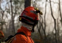 Bombeiros de MT combatem seis incêndios florestais nesta sexta-feira (1º)
