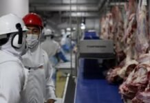 Analistas amenizam impacto do ‘tarifaço’ à carne bovina de MT
