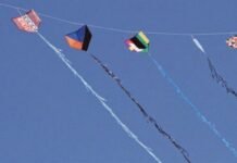 Projetos de lei preveem multas e punição para quem usar ou fabricar linhas cortantes em MT