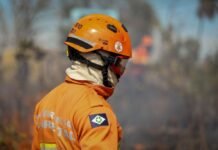 Corpo de Bombeiros combate 9 incêndios florestais nesta sexta-feira (17)