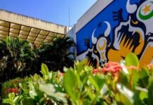 Dia da Consciência Negra: confira o que abre e o que fecha no serviço público estadual