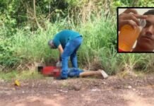 Homem encontrado amarrado e morto em área de mata é identificado