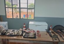 Idoso é preso com 5 espingardas, pescado irregular e 23 quilos de carne de caça