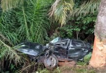 Dois morrem e um fica ferido em capotamento na BR-364