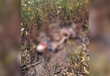 Trabalhadores rurais acham ossada masculina em lavoura