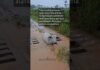Veja Vídeo – Boi fica entalado no mata-burro e ‘trava’ trânsito durante temporal em Minas Gerais; veja