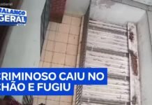 Veja Vídeo – Moradora bate em ladrão com planta artificial e impede que sua casa seja invadida; veja