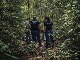 Ossada humana é encontrada em área de mata no interior