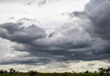 100 cidades de MT têm alerta de temporais esta semana