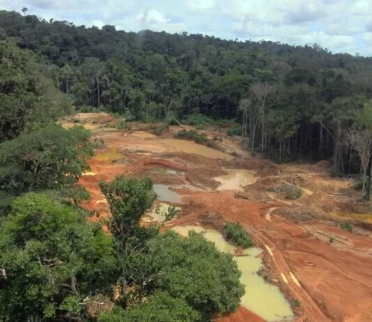 STF manda retirar garimpeiros de área do povo Cinta Larga