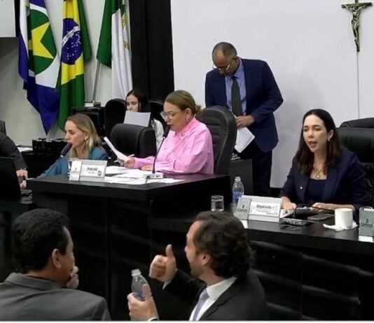 Vereadores votam 11 vetos do Executivo na sessão de quinta