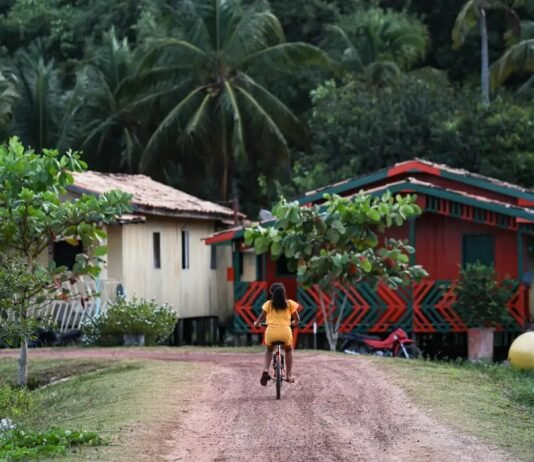 Amazônia Legal concentra quase metade dos conflitos de terra no Brasil