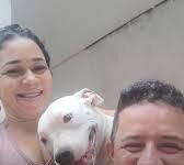 Veja Vídeo – Cachorra viraliza ao ter ‘ciúmes’ e interromper romance de tutores; veja