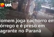 Veja Vídeo – Homem joga cachorro em córrego e é preso em flagrante no Paraná; veja