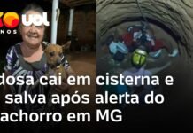 Veja Vídeo – Cachorro ‘chama por ajuda’ para salvar idosa que caiu em cisterna em MG; veja