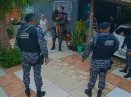 Polícia atira em cães para salvar criança e idosa em Cáceres