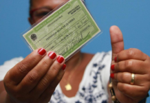 Eleitoras são maioria em MT, mas presença é baixa nas urnas e entre eleitos