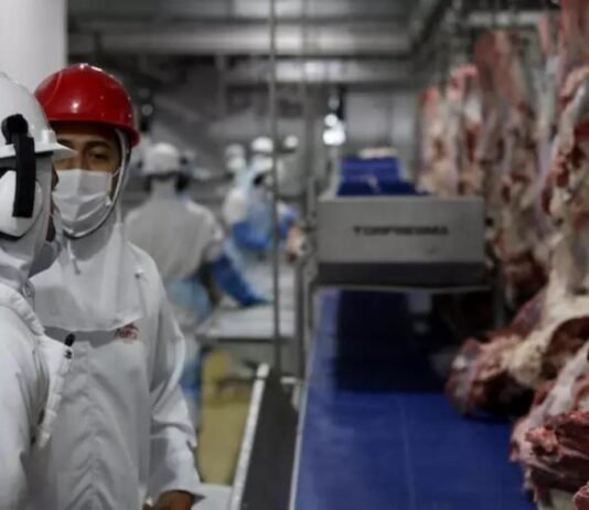 Frigoríficos terão que garantir isenção de ‘lavagem de gado’ para vender à Europa