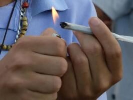 MT é o terceiro maior consumidor de maconha entre jovens do país