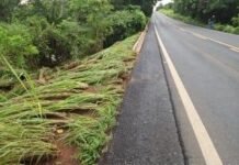 Trânsito na MT-010 está liberado; rompimento de barragem particular provocou alagamento