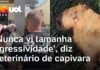 Veja Vídeo – Veterinário de capivara agredida sobre violência contra animal: ‘Nunca vi tamanha agressividade’