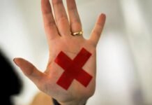 Ano eleitoral impulsiona avalanche de projetos sobre mulheres em MT e acende alerta