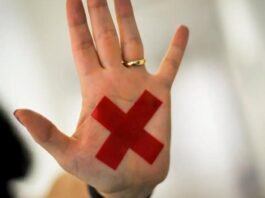 Ano eleitoral impulsiona avalanche de projetos sobre mulheres em MT e acende alerta