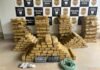 Polícia acha 305 tabletes de maconha enterrados em casa de MT