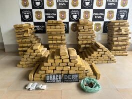 Polícia acha 305 tabletes de maconha enterrados em casa de MT