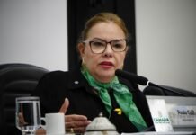 Juristas e Procurador da Câmara divergem sobre possibilidade de reeleição de Paula Calil