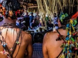 Indígenas seguem longe do poder em MT; baixa representatividade