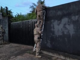 Operação cumpre 97 ordens judiciais sobre ‘roubo mais violento de MT’