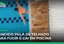 Veja Vídeo – Ladrão se joga do telhado, cai em piscina e é preso após perseguição no interior de SP