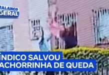 Veja Vídeo – Síndico evita tragédia e salva vida de cachorrinha que despencou de sacada; veja