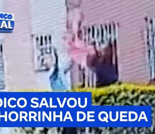 Veja Vídeo – Síndico evita tragédia e salva vida de cachorrinha que despencou de sacada; veja