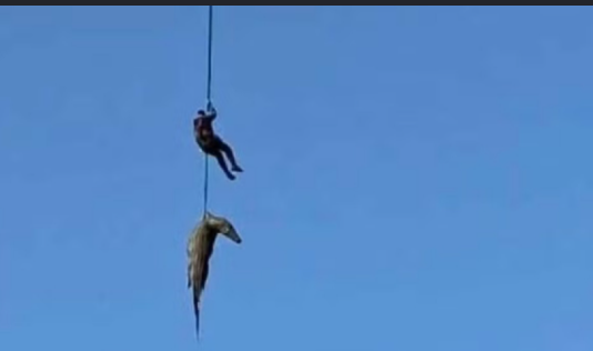 Veja Vídeo – Policial é içado de helicóptero com crocodilo que devorou homem na África do Sul