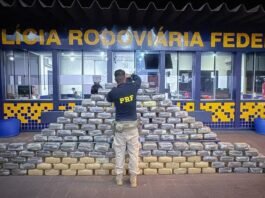 PRF apreende cerca de meia tonelada de skunk em fundo falso de caminhão em MT