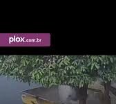 Veja Vídeo – Motociclista em alta velocidade bate e é arremessado para dentro de caçamba