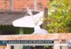 Avião de pequeno porte cai sobre casa em Nova Iguaçu, no Rio de Janeiro; veja vídeo