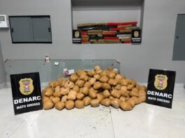 Polícia Civil apreende mais de 150 quilos de maconha em casa em bairro de Cuiabá