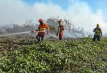 Vagas para brigadistas temporários são destinadas para 29 municípios de MT