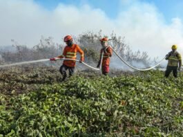 Vagas para brigadistas temporários são destinadas para 29 municípios de MT
