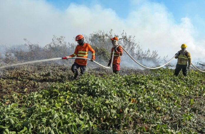 Combate à incêndios no Pantanal-111
