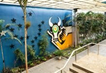 Governo de MT decreta ponto facultativo na segunda-feira (29)