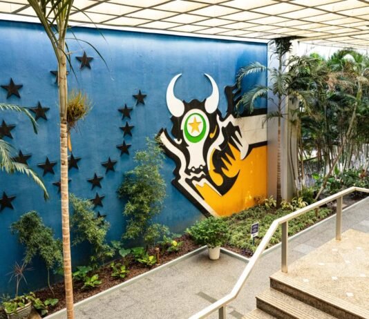 Governo de MT decreta ponto facultativo na segunda-feira (29)