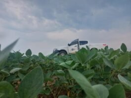 Vazio sanitário da soja já está em vigência em Mato Grosso