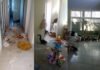 Veja Vídeo – ‘Gangue’ de quatis invade casa e deixa bagunça e destruição, no Paraná; veja vídeo