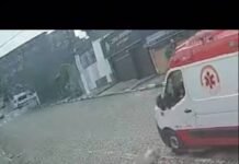 Veja Vídeo – Motorista do Samu é perseguido após atropelar cão em São Paulo; veja