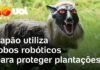 Veja Vídeo – Humanoides no boxe, mecha de titânio e lobos robôs: a tecnologia testa os limites